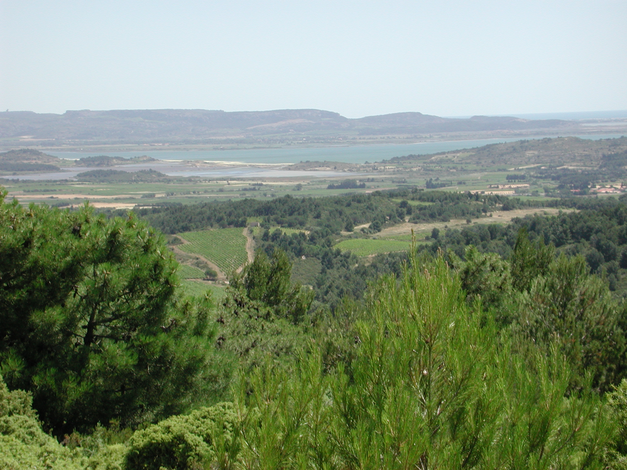 Domaine des 2 Ânes les vins d'auteurs
